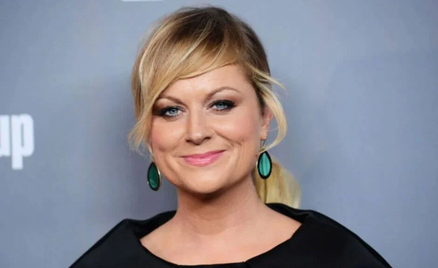 amy poehler net worth