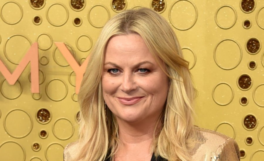 amy poehler net worth