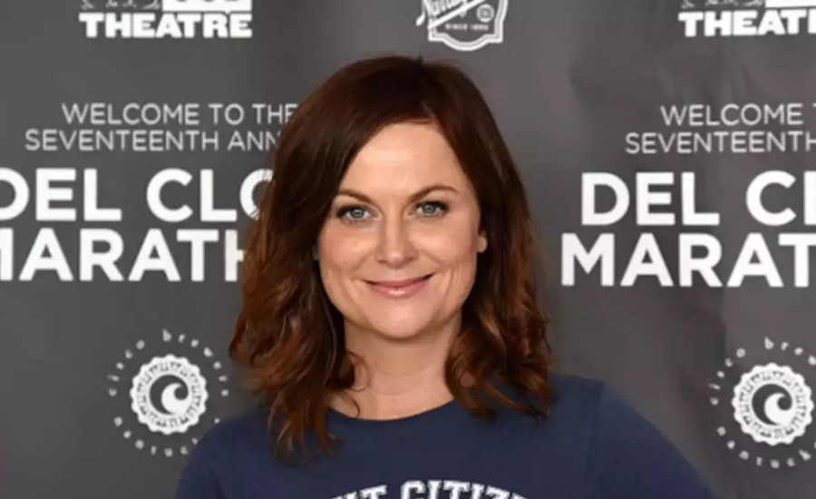 amy poehler net worth